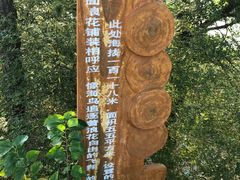 -西尖山公园