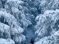 -丝绸之路山地度假区滑雪场