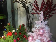 -花未央花店·WEYOUNG