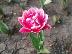 -长春公园(普阳街道)