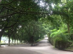 -西南政法大学(沙坪坝校区)