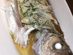 鸡汁蒸太湖白鱼-金枝玉叶上海人家食府(三里河店)