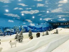 -世界之窗阿尔卑斯冰雪世界