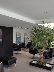 -付军剪艺JF ProSalon