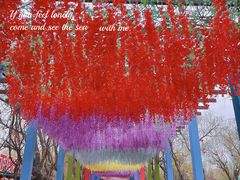 -雪山彩虹谷景区