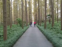 android_upload_pic-上海怡沁园度假酒店