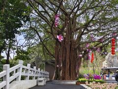 -广州市白云山风景名胜区