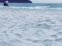 -真浪花园海鲜餐馆