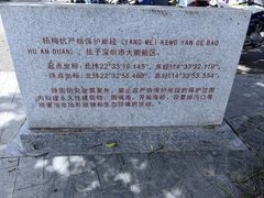 -杨梅坑