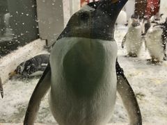 -大连圣亚海洋世界