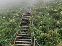 -灵山
