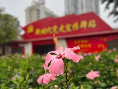 -洲头咀公园