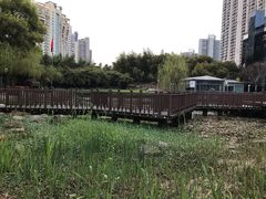 -苏州河梦清园环保主题公园