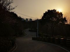 -羊山湖公园