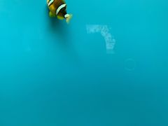 -北戴河圣蓝海洋公园