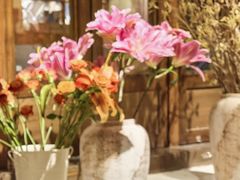 -小喜客·云南特色菜(纳西庭院店)