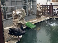 -湖鲜楼