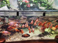 -太平洋海底世界