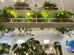 -岳姥姥饺子(泺文路店)