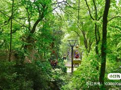 -WeLope紫金山探险公园