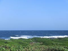 android_upload_pic-龙坑生态保护区