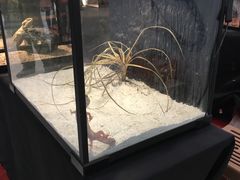 -太原茂业天地购物中心