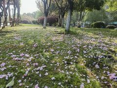 -杭州半山国家森林公园