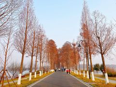 -东湖生态旅游风景区