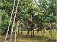 -秦皇岛野生动物园
