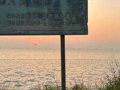 -宝安西湾红树林湿地公园