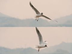 -黄河三峡风景名胜区