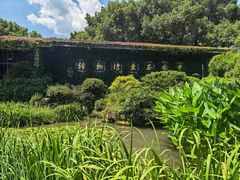 -中国茶叶博物馆(双峰馆区)