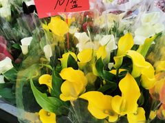 -溪岸路花鸟市场