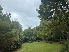 -上海市保健医疗中心