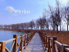 -野鸭湖国家湿地公园