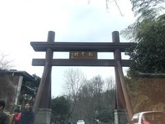 -龙井村