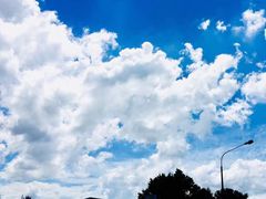 -怀托摩萤火虫洞