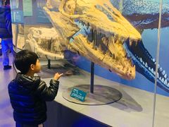 -国家自然博物馆