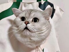 -星巴克(天津五大道店)