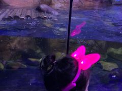 -皇家极地海洋世界-售票处