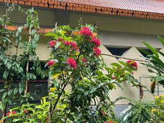 -中国科学院西双版纳热带植物园