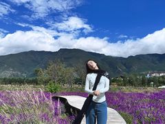 -丽江植物园