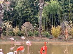 -杭州野生动物世界