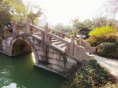 -上海醉白池公园