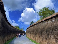 -黄龙溪欢乐田园