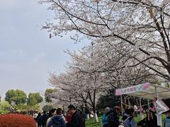 -堤角公园