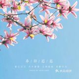 出门下楼去小区里赏春吧！