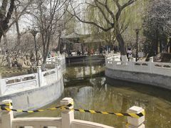 -桃花堤公园