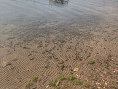 -抚仙湖禄充风景区