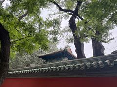 -北京国子监胡同